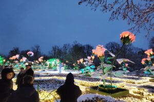 IMG_20251124_160424115