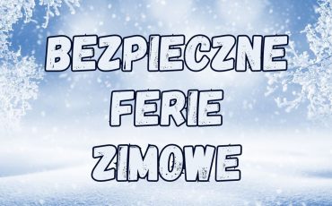 DEKORACJA ZIMOWA - 4